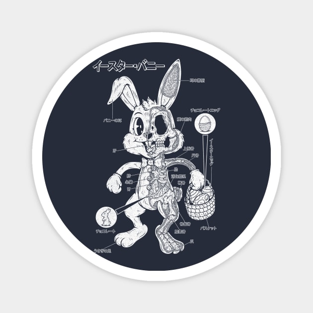 EASTER BUNNY ANATOMY - 1 INK Magnet by Firebrander